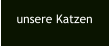 unsere Katzen