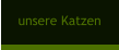 unsere Katzen